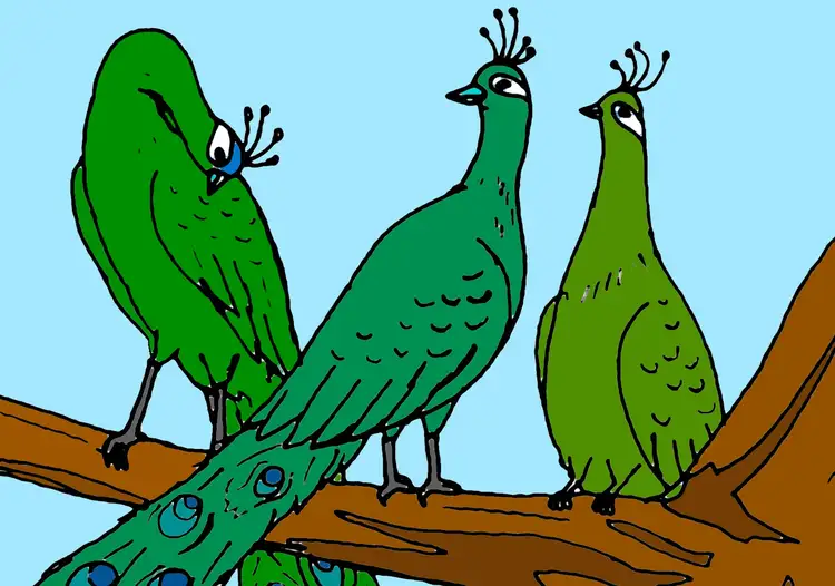 03 The Crow Who Pretended to be a Peacock