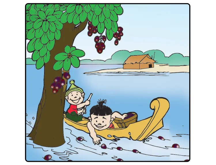 (က) သပြေသီးကောက် (ကဗျာ)