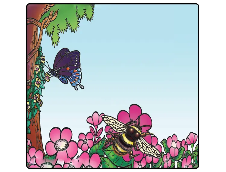 (င) ပိုးကောင်ကလေးတွေ ဘာလုပ်နေသလဲ