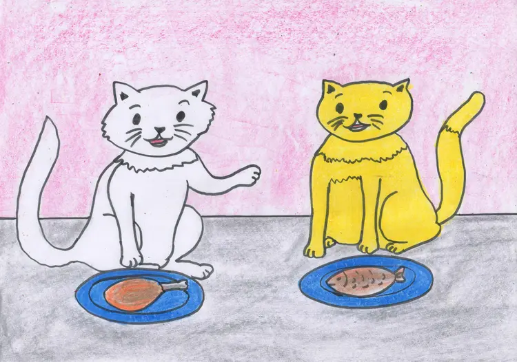23.The White Cat and The Yellow Cat