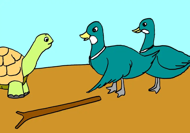 42.Tortoise and Duck