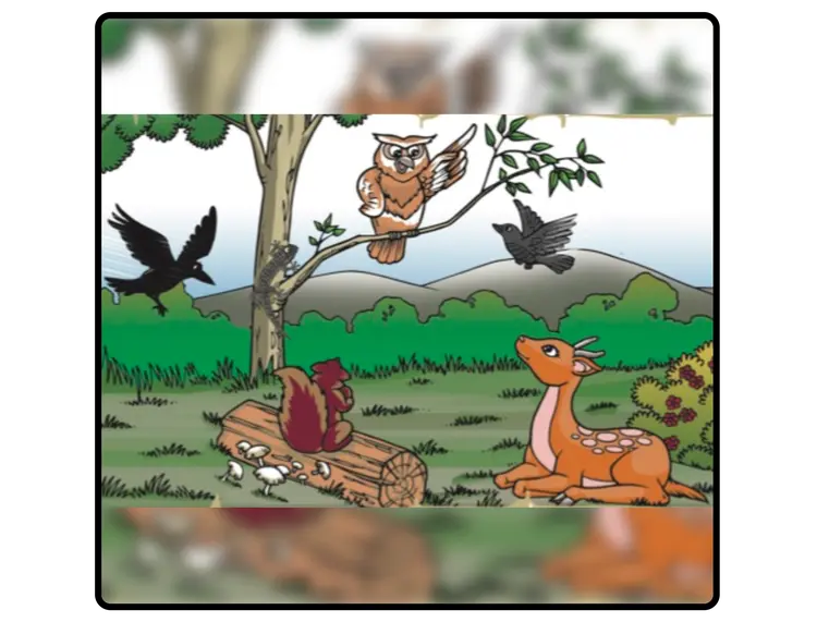 (ဂ) ပညာရှိ ဇီးကွက် (ပုံပြင်)